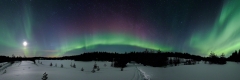 One-eighty auroras