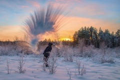 2016_14