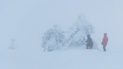 2019_47