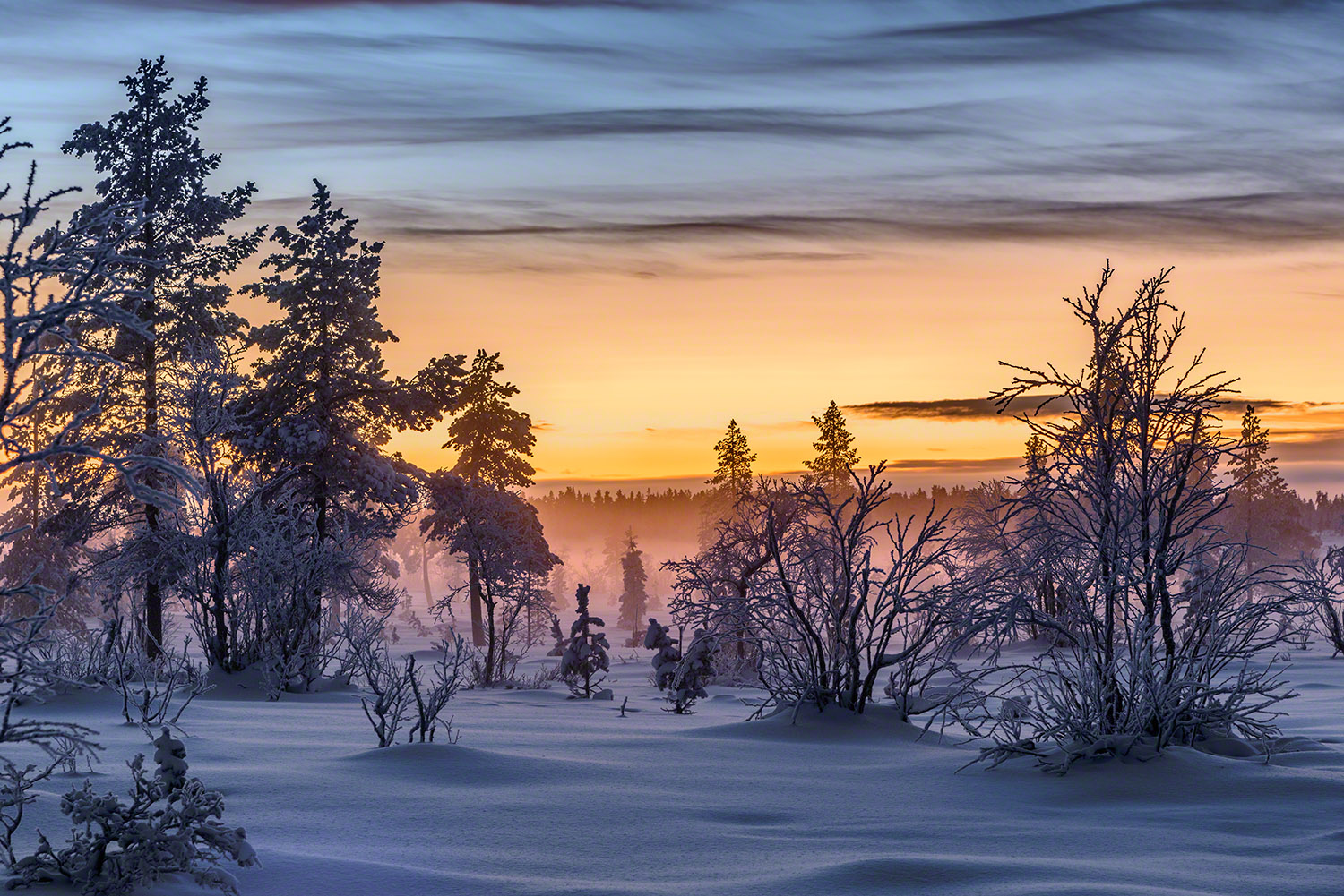 Winter photography during the polar night in Lapland, Finland.