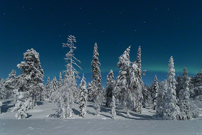 Winter wonderland scene with a bit of aurora