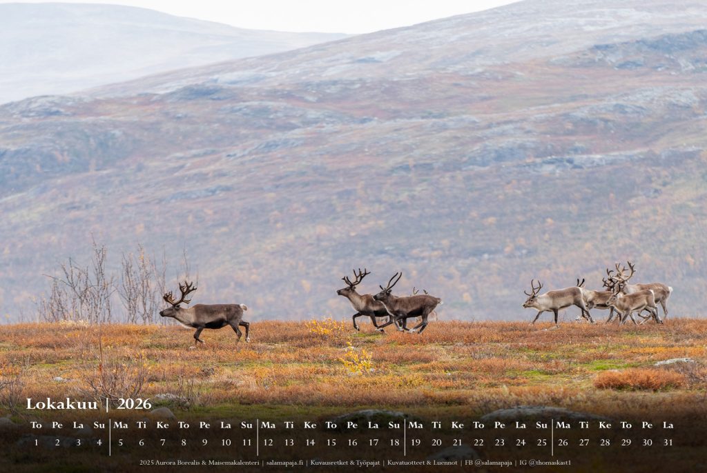 Calendar part preview